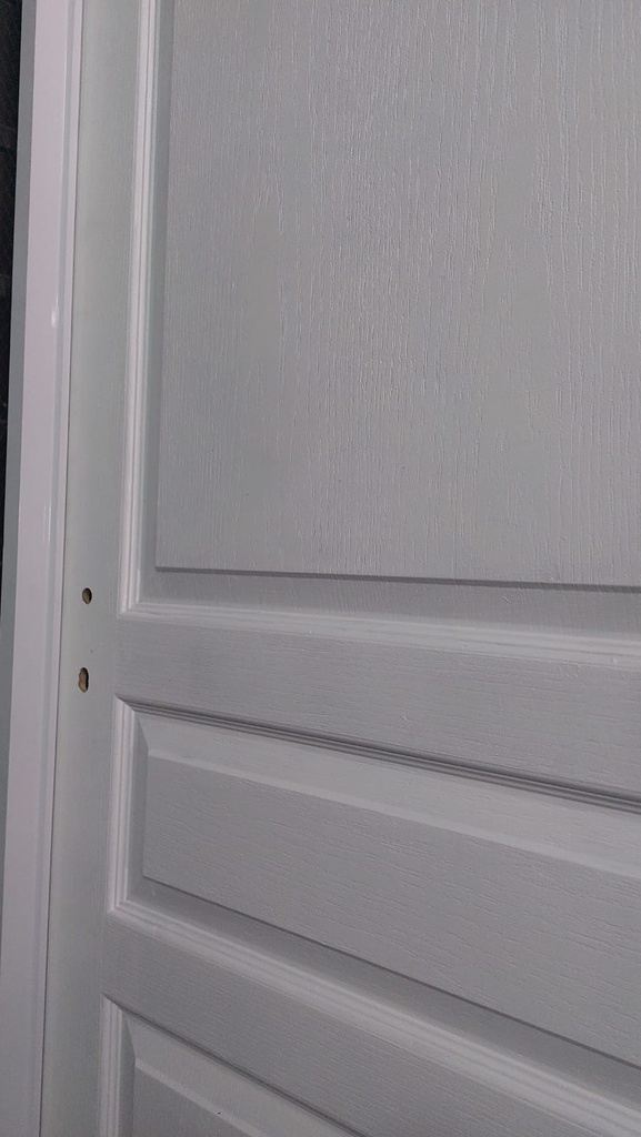 Puerta Placa Interior Masonite Europea